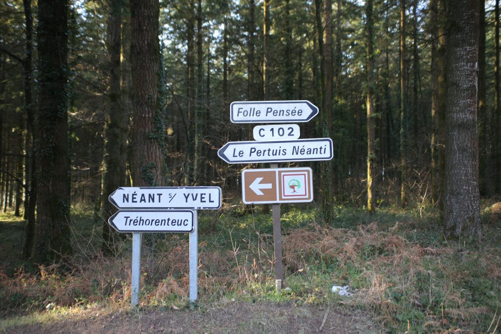Néant-sur-Yvel, en pleine forêt de Brocéliande dans l'Ille-et-Vilaine, en Bretagne © Elisabeth Blanchet
