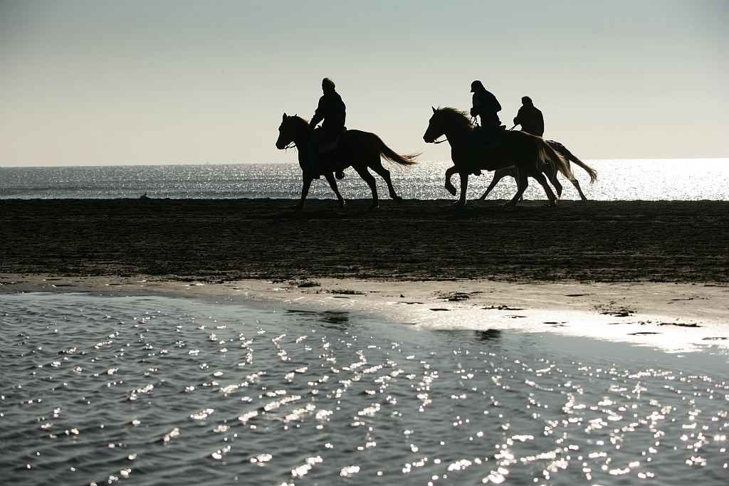 Promenade à cheval sur la plage, photo prise par Olivier Maynard à la Grande Motte (Hérault)