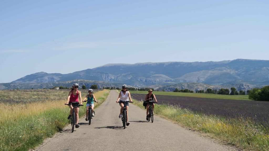 Depuis 25 ans, Vélo Loisir Provence anime les destinations « Luberon à vélo » et « Verdon à vélo » en partenariat avec les PNR et les collectivités et organismes de promotion touristique concernées.