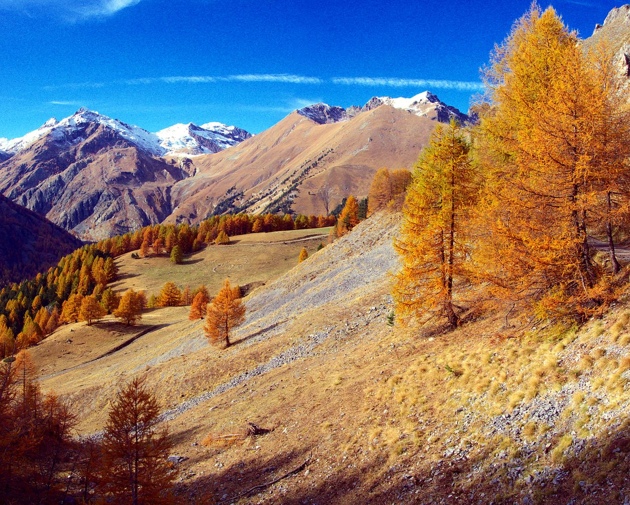 solidaire-avec-la-vall-e-de-la-roya