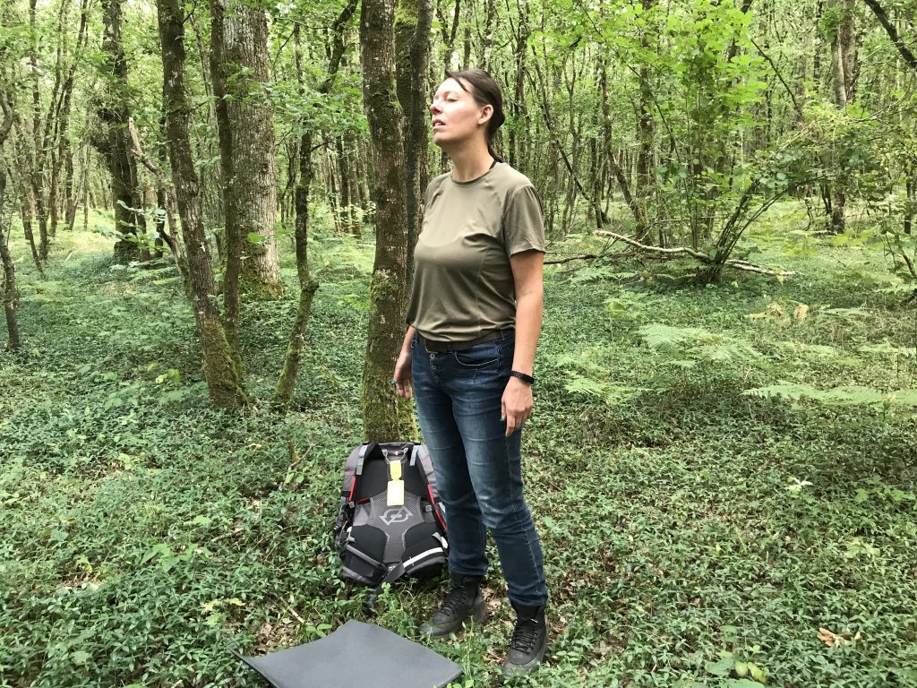 Bain de forêt dans le Calvados en forêt de Grimbosq, guidé par Anne-Lise Mommert, guide Shinrin yoku