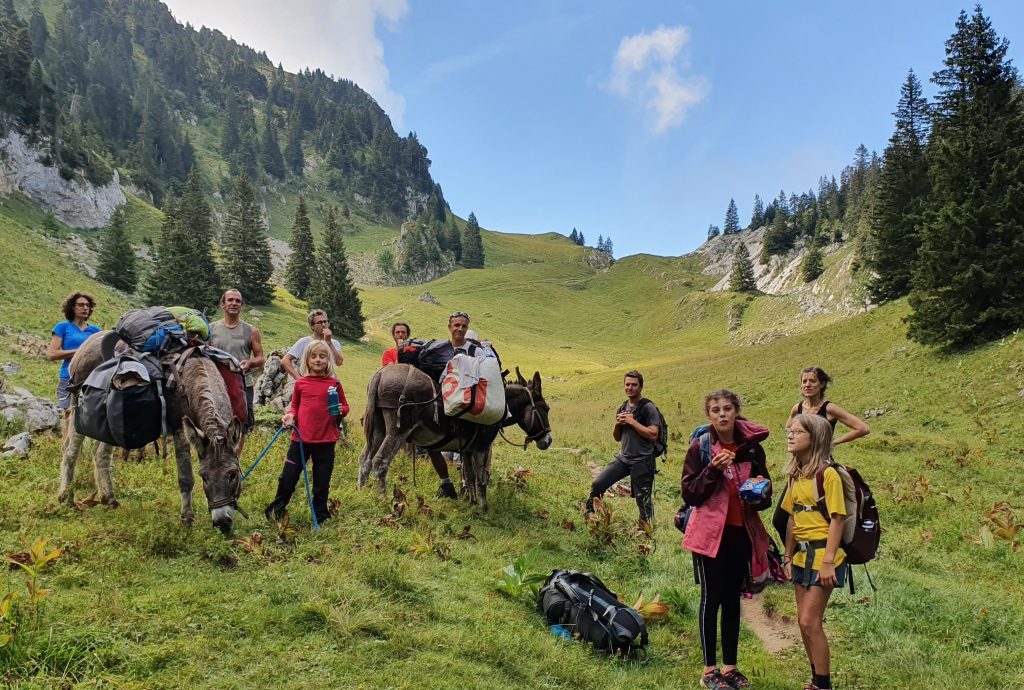 randonneurs accompagnés d'ânes dans les montagnes de chartreuse