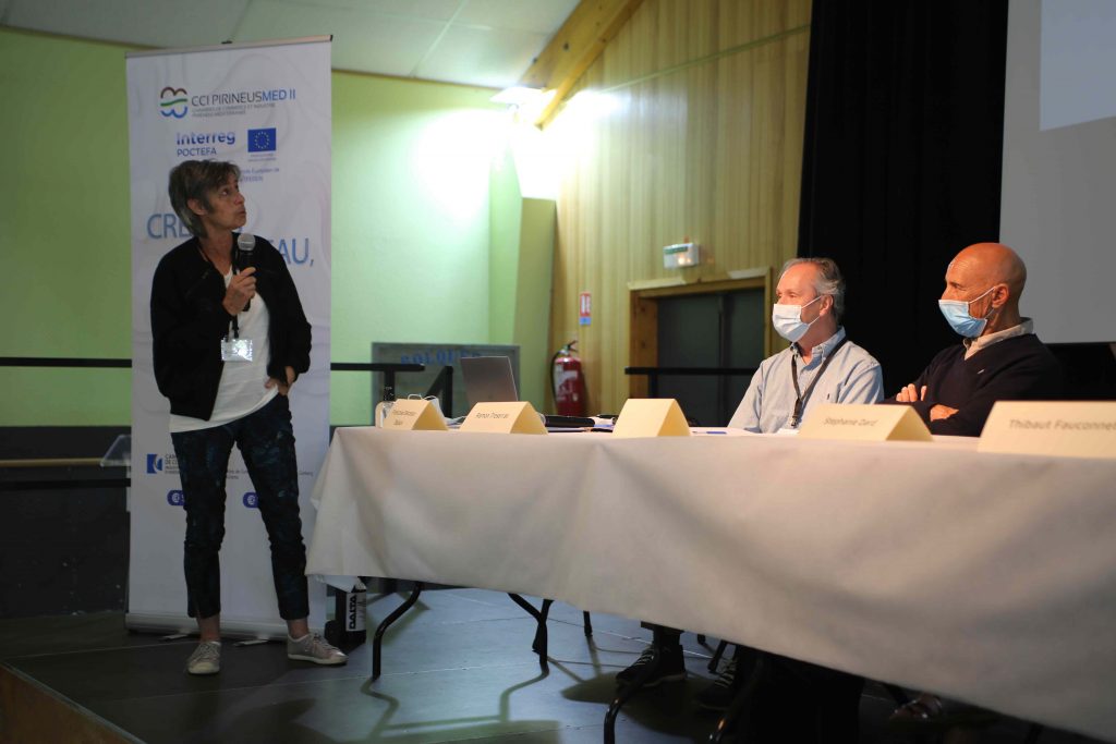Dossier Pyrenees Business Summit - rencontres transfrontalières - CCIPO/EPIREME