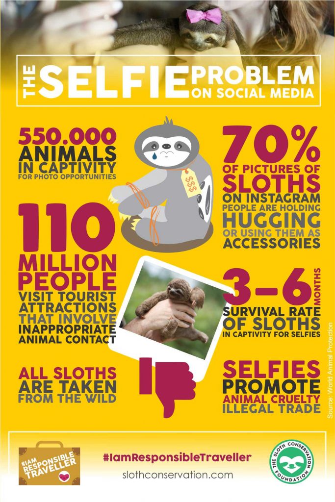 Une campagne de prévention pour la sauvegarde des paresseux face à la mode des selfies.