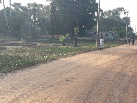 Casamance