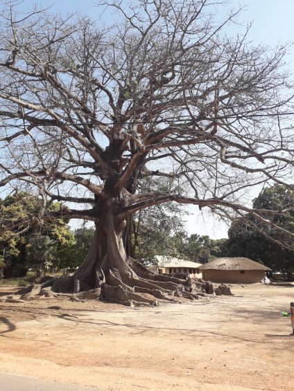 Casamance