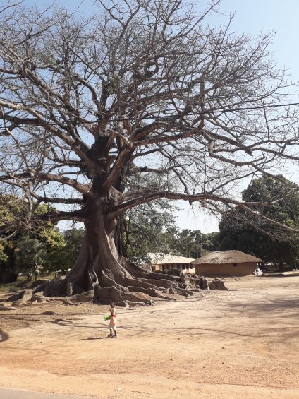 Casamance