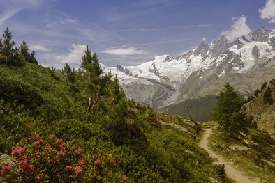 Article : Escapade en Suisse : idées d'itinéraires et informations utiles