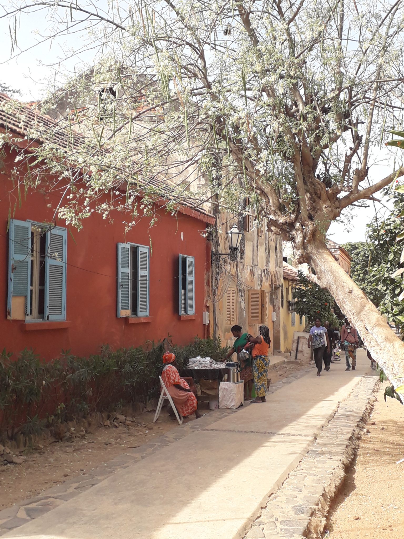Sur les pas d'un passé tragique, visite de l'île de Gorée