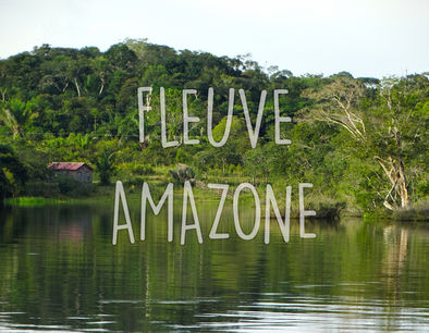 Article : Voyage au cœur du fleuve Amazone