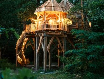 Article : Jacuzzi sous les étoiles : ces cabanes dans les arbres qui réenchantent nos escapades