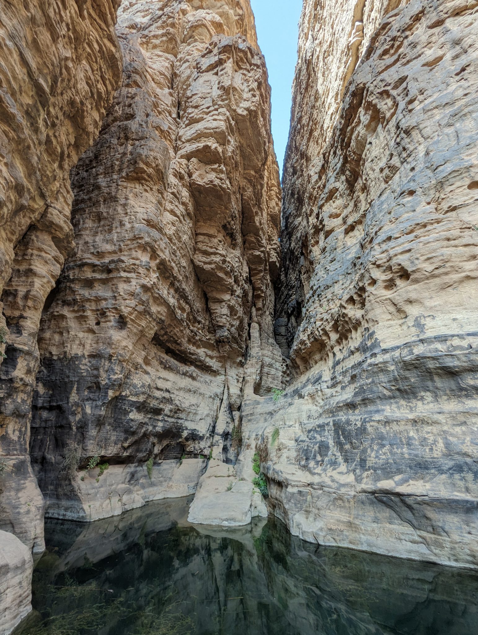 Séjour dans le Grand Sud Algérien : Périple au cœur du Tassili N'Ajjer