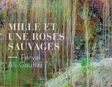 Article : Mille et une roses sauvages