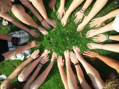 Article : Un team building écologique et responsable, c'est possible !
