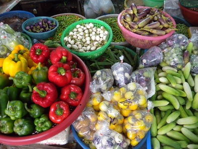 Article : La Thaïlande en immersion