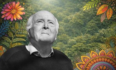 Article : Marcher sous les géants : ce que Francis Hallé nous laisse pour repenser le tourisme en forêt