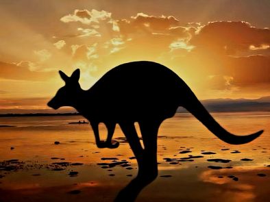 Article : Partir pour une année de césure en Australie