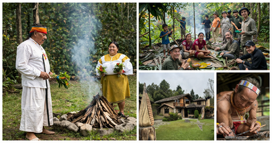 Article : ARAKIS, se transformer par le voyage