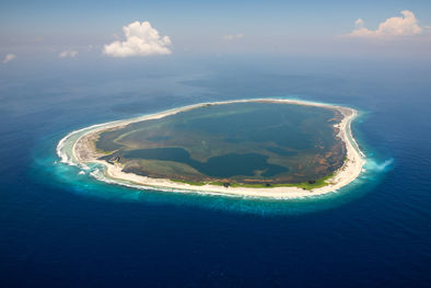 Article : Clipperton : un laboratoire de biodiversité à ciel ouvert !