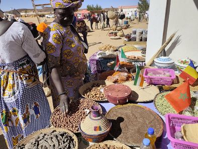 Article : Le Tchad veut renouer avec le tourisme