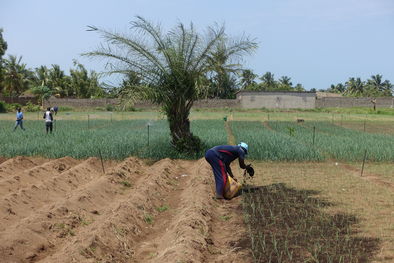 Article : Action Carbone Solidaire : soutenir la transition écologique avec la Fondation GoodPlanet !