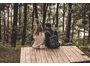 Voyage sur-mesure : ce qui change vraiment