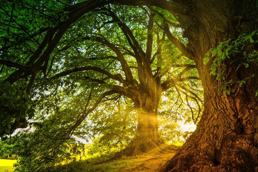 Une fois sur place, rien de tel que de déconnecter vraiment et de profiter simplement... ©Pixabay