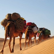 Trekking dans le desert marocain