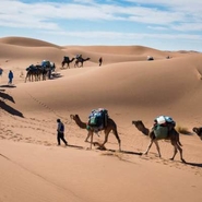 circuits dans le desert marocain