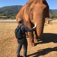 Mahalo - Aider les elephants en Thailande