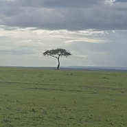 Plaine de savane Kenya