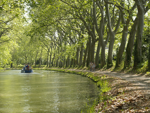 rando France - CHEMIN D'ARLES : Le Chemin d'Arles : Arles - Lodève
